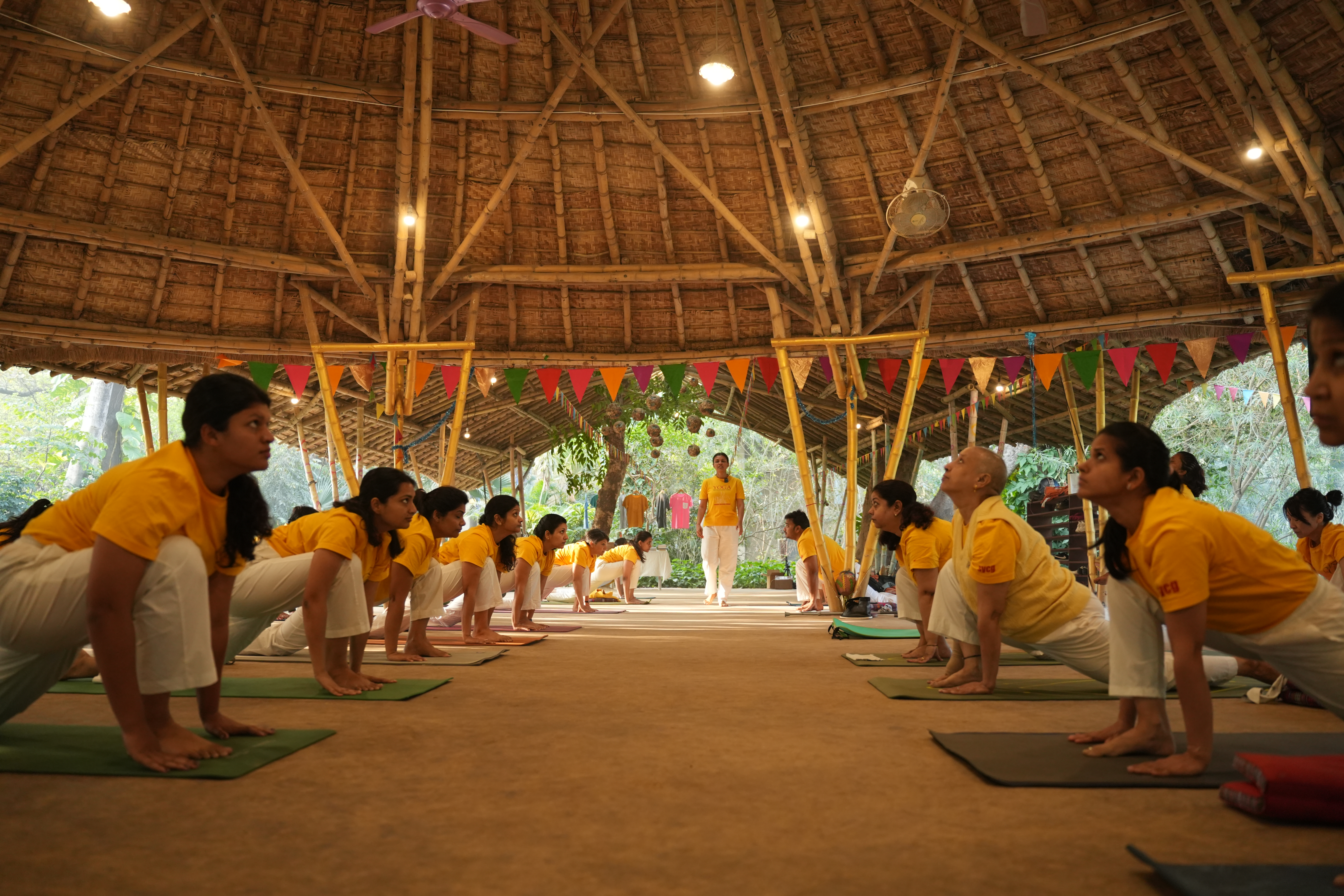 Yoga Asanas